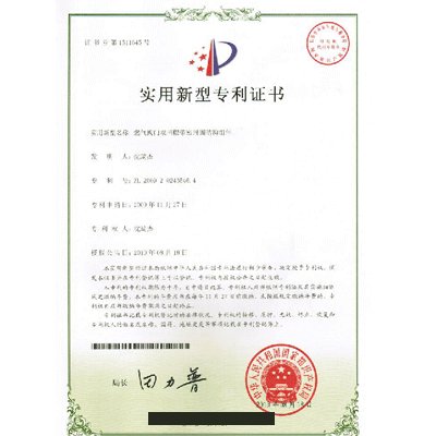 使用(yòng)新(xīn)型zhuanli書(shū)